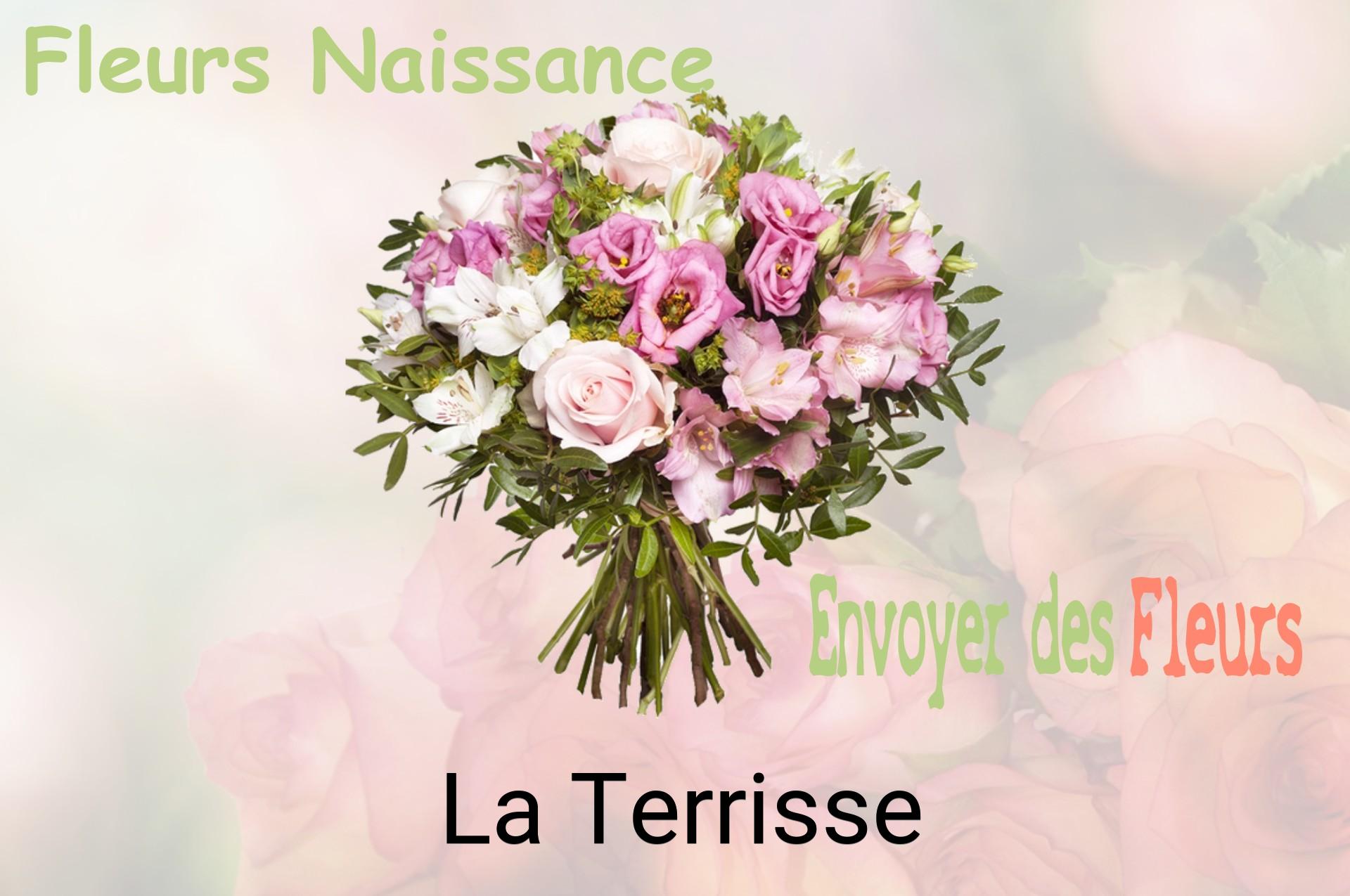 Bouquet de fleurs de naissance livré à La Terrisse
